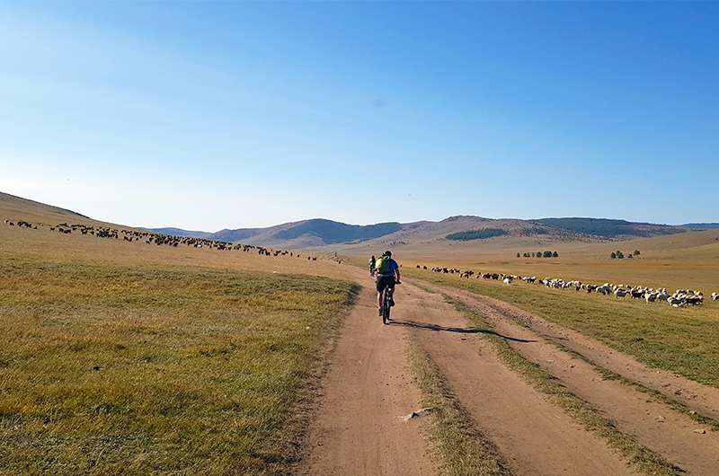 Mountain biking in Mongolia